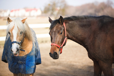 Similar image 10953171