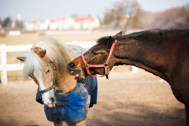 Similar image 10953172