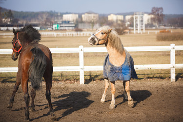 Similar image 10953173