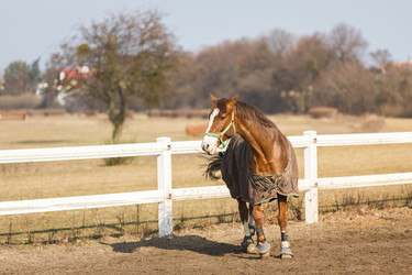 Similar image 10953174