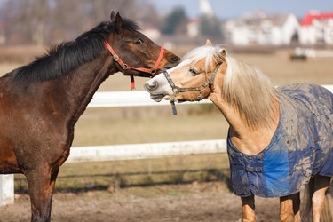 Similar image 10953177