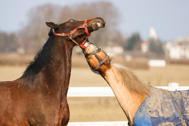 Similar image 10953178