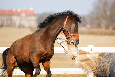 Similar image 10953179