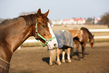 Similar image 10953181