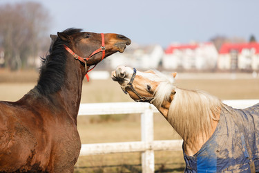 Similar image 10953183