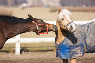 Similar image 10953290