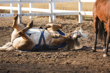 Similar image 10953292