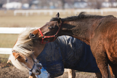 Similar image 10953293