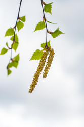 Similar image 10953035