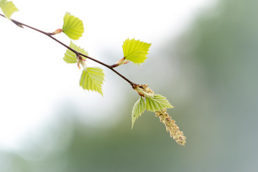 Similar image 10953036