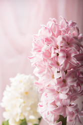 Similar image 10953126