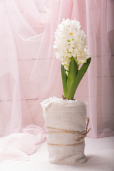 Similar image 10953129