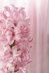 Similar image 10953131