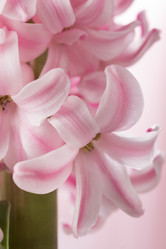 Similar image 10953197