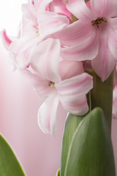 Similar image 10953201