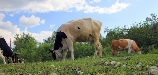 Similar image 10953146