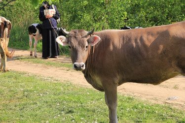 Similar image 10953147