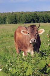 Similar image 10953148