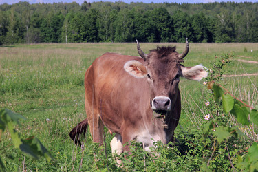 Similar image 10953149