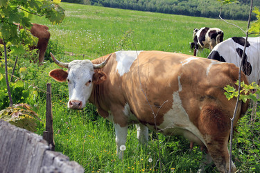 Similar image 10953151