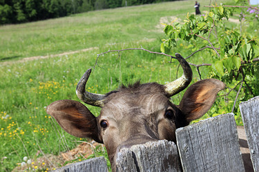 Similar image 10953152