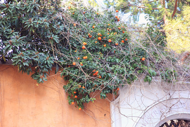 Similar image 10953156