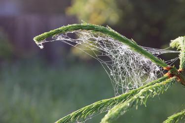 Similar image 10953157