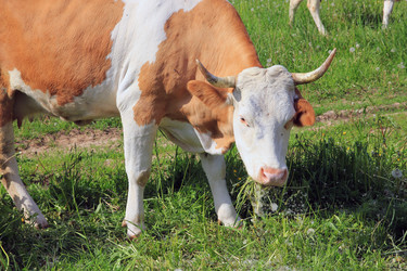 Similar image 10953163