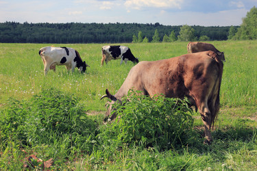 Similar image 10953164