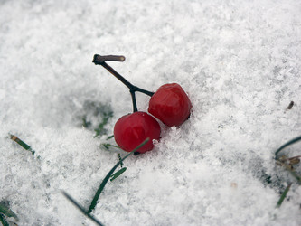 Similar image 10953184