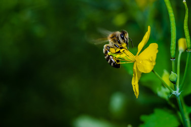 Similar image 10953136