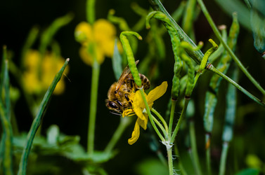 Similar image 10953137