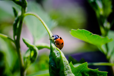 Similar image 10953138