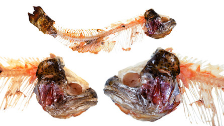 Similar image 10953683