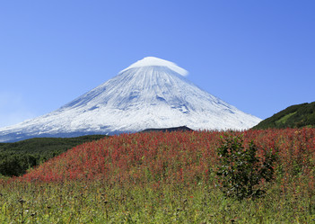 Similar image 10953069