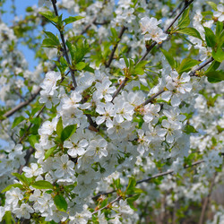 Similar image 10955405