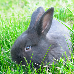 Similar image 10955409