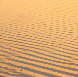 Similar image 10953877