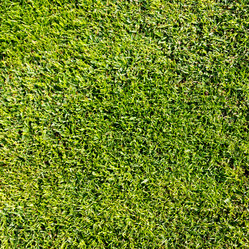 Similar image 10953890