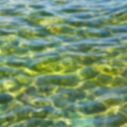 Similar image 10955142