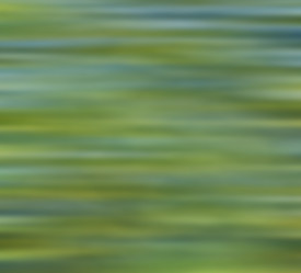 Similar image 10955145