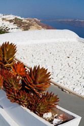 Similar image 10953781