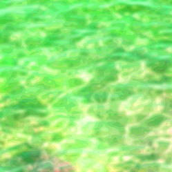 Similar image 10955147