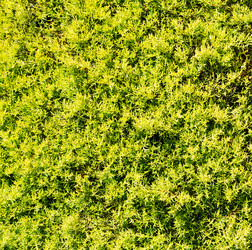 Similar image 10953758