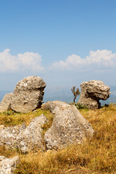 Similar image 10954048