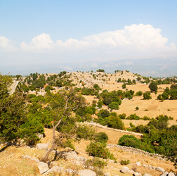 Similar image 10954053