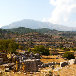 Similar image 10954054