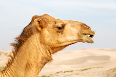 Similar image 10953991