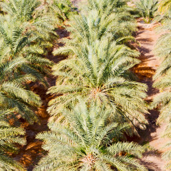 Similar image 10953933