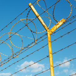 Similar image 10953949